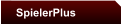 SpielerPlus