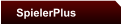 SpielerPlus
